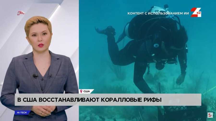 В США восстанавливают коралловые рифы