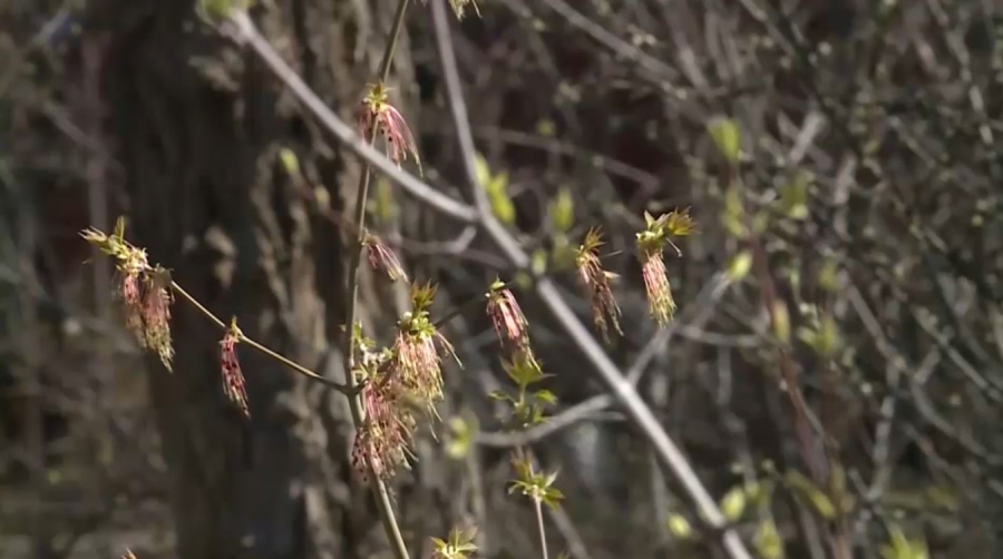 Ақтөбе жастарына «Топырақтың алты дюймі» деректі фильмі көрсетілді