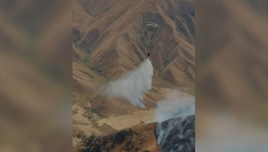 Крупный пожар тушили двое суток в Алматинской области