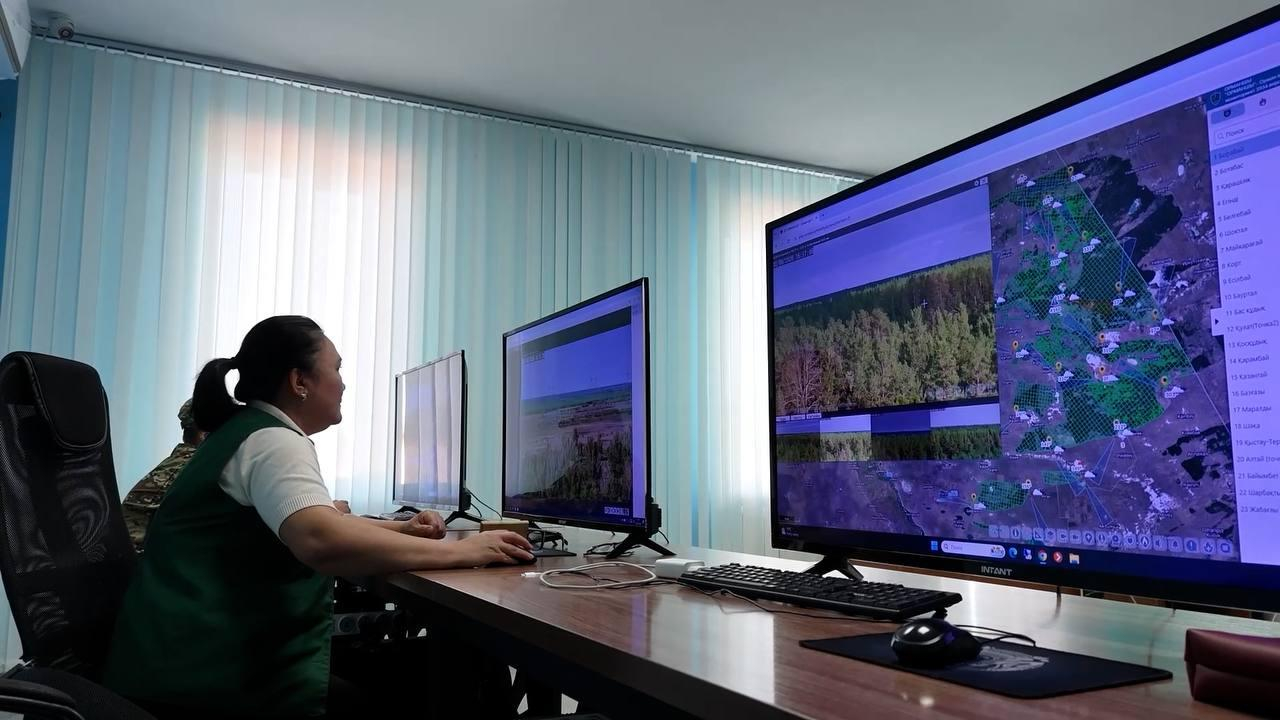 На системы раннего обнаружения лесных пожаров выделили 16,9 млрд тенге