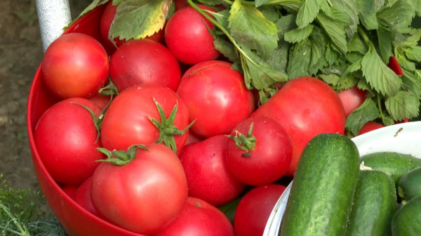 Қызылорда облысында «Ауыл аманаты» бойынша 406 жоба қаржыландырылды