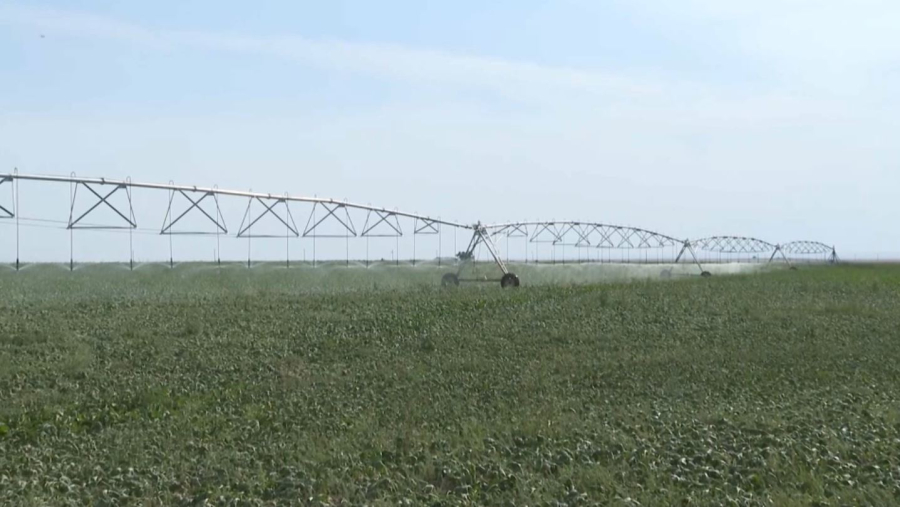 Түркістанда су тапшылығы екі есеге азайды