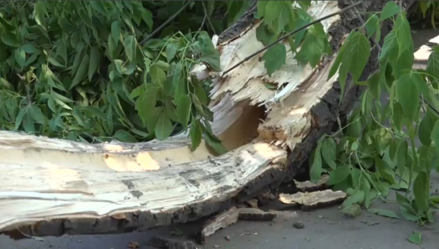 Павлодар облысындағы дауылдан кейін қалпына келтіру жұмысы жүріп жатыр