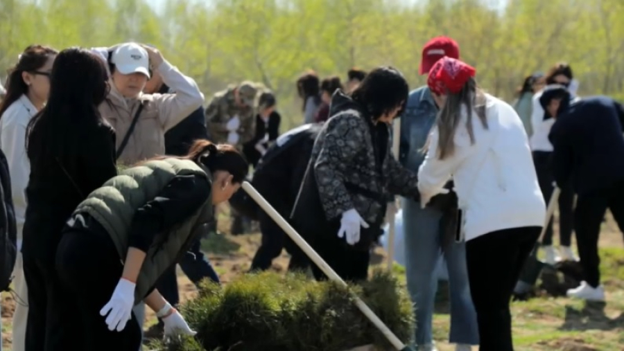 Недельный марафон «Таза Қазақстан» завершился днем посадки деревьев