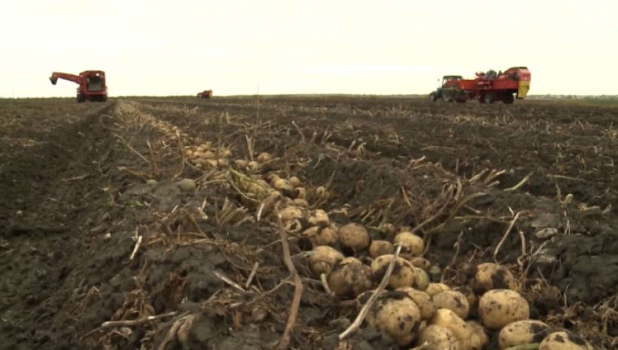 Овощехранилище стоимостью ₸1,2 млрд открыли в селе Байшуак