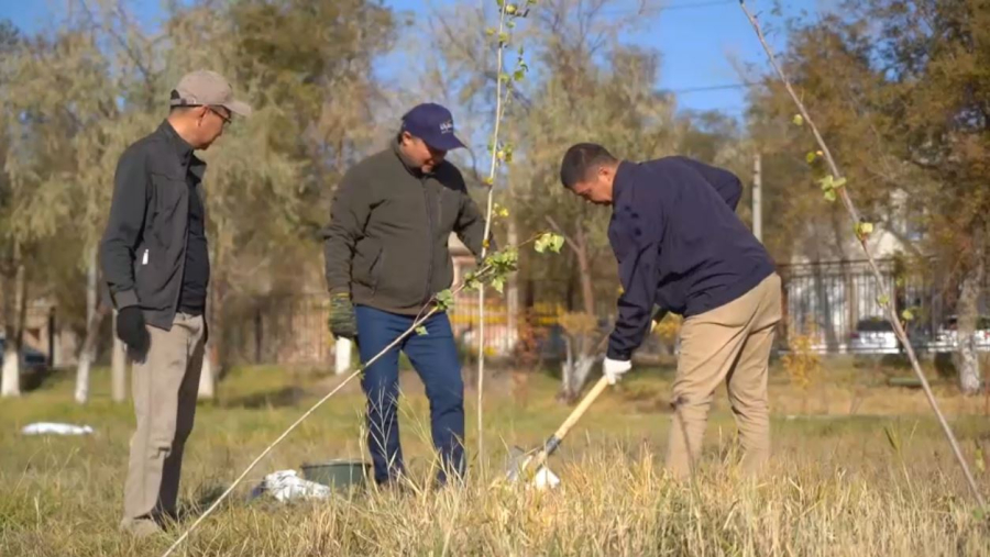 Жезқазғанда күзгі көгалдандыру жұмысы жүріп жатыр