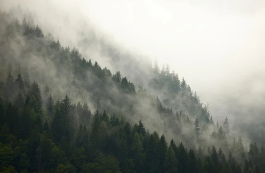 Туман накроет большую часть Казахстана   