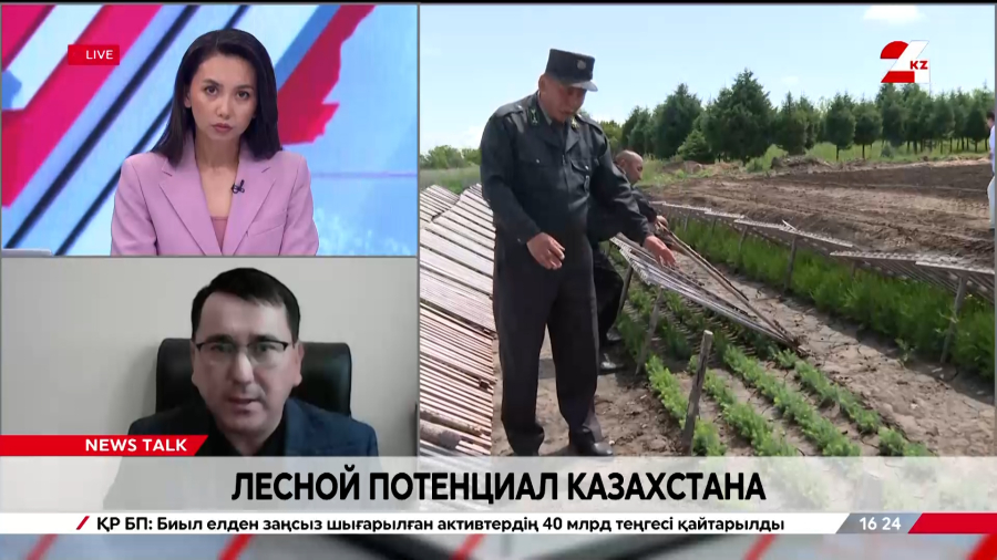 Лесной потенциал Казахстана. Нуржан Мухамадиев