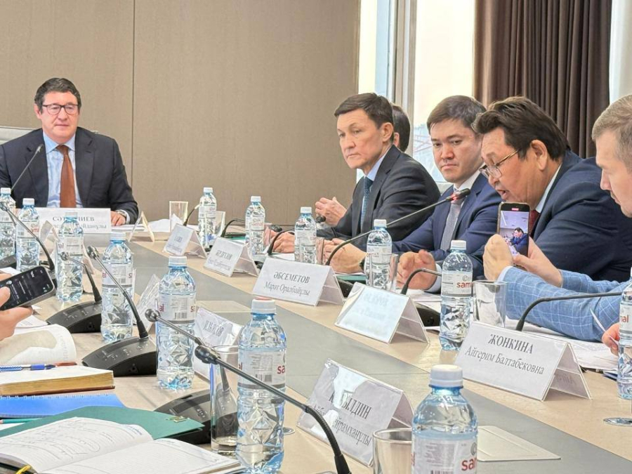 Как будет называться первая АЭС Казахстана