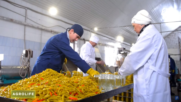 В Казахстане усилят контроль за качеством и безопасностью пищевой продукции | AgroLife