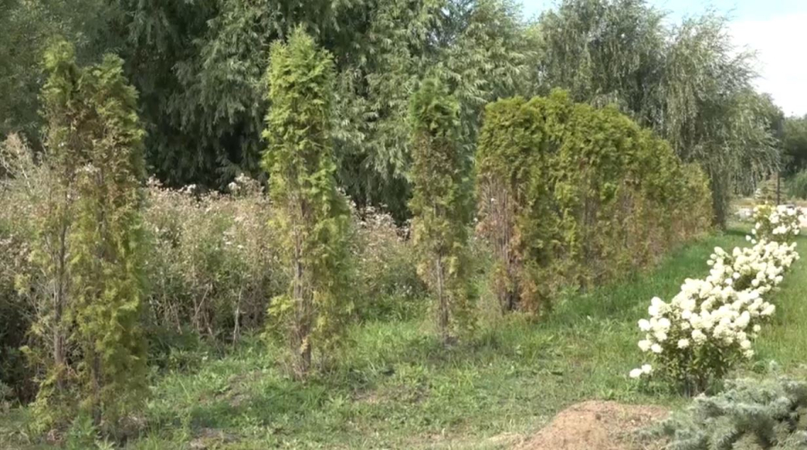 Ботанический сад открыли в Уральске