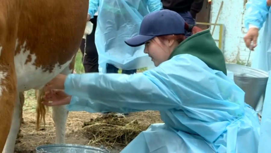 «Ауыл Life»: городскую молодежь знакомят с сельским бытом