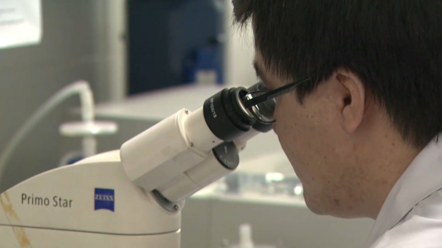 Орталық Азия елдері қант диабетімен күресте ортақ жоспар құрды