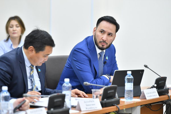 Үкімет инерциялық даму қаупін еңсере алмады