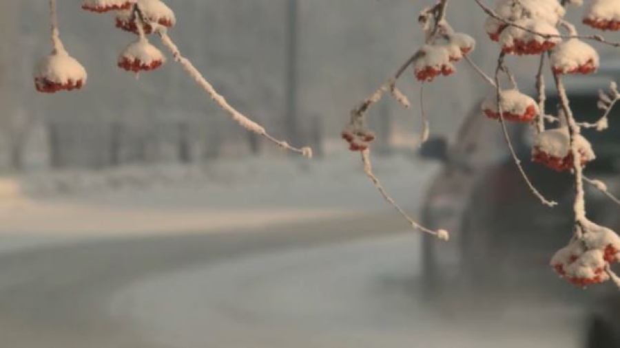 Снег, туман и метели: Казахстан ждёт резкое ухудшение погоды