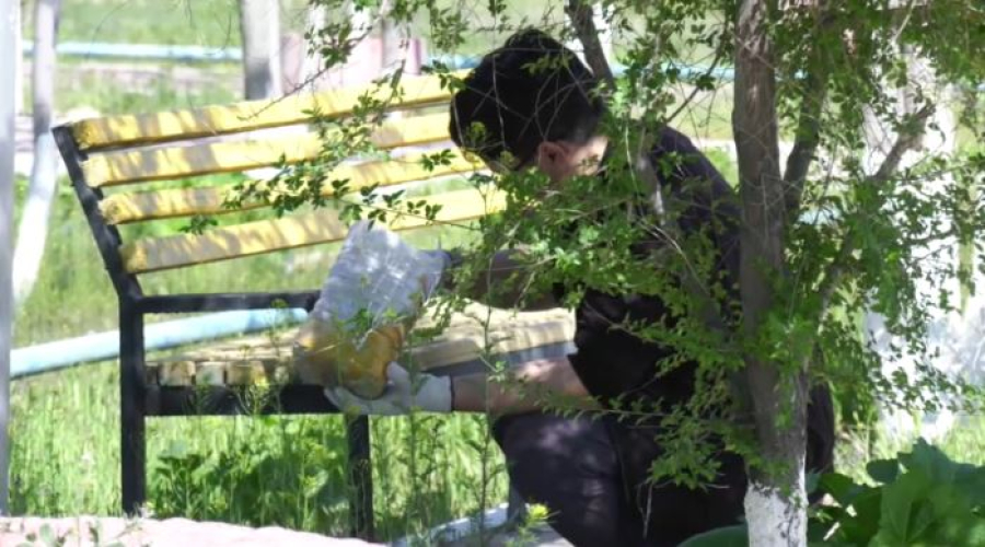 Tazalaik Fest прошёл в Мангистау