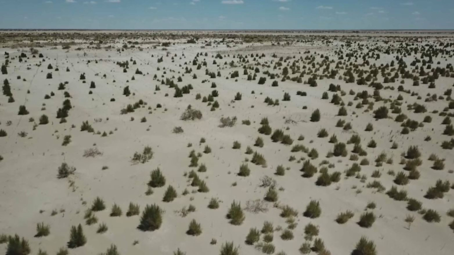 Аралдағы гидротехникалық қондырғыларды ауыстыруға $6 млрд қажет