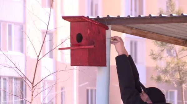 Экологическая акция «Сохраним птиц» проходит в столице