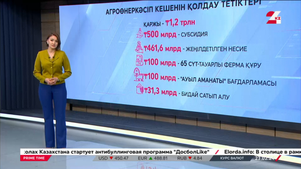 Агроөнеркәсіп кешенін қолдау тетіктері. Графика