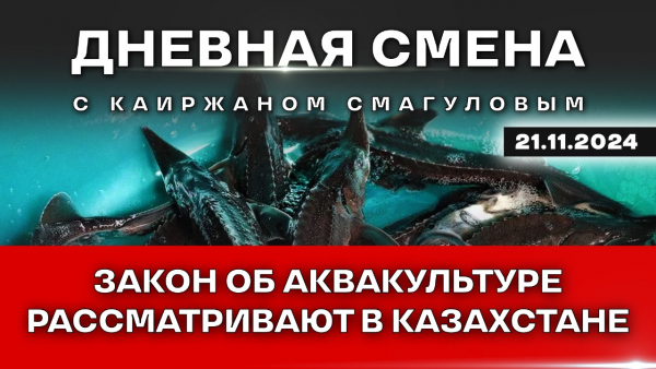 Инвестиции в рыбное хозяйство и развитие аквакультуры в Казахстане. Дневная смена | 21.11.2024