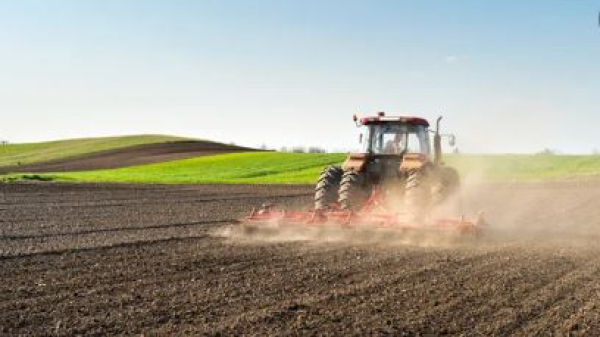 Кредиты под 2,5%: как программа «Ауыл аманаты» помогает сельчанам повышать достаток