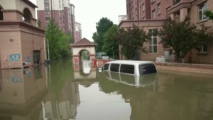 Губчатые города не выдержали экстремальных наводнений