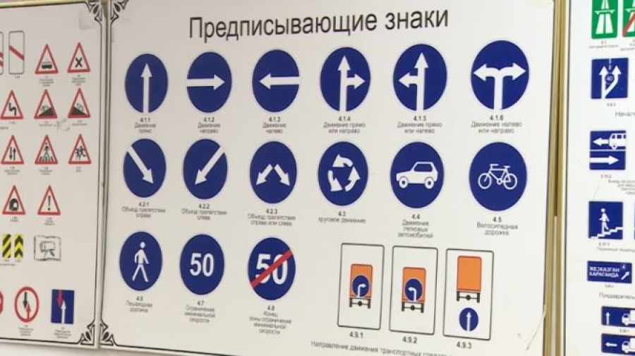 Как изменят контроль над автошколами