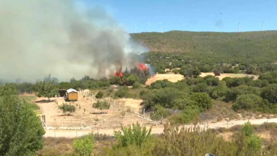 Түркияда өрттен екінші адам қаза тапты