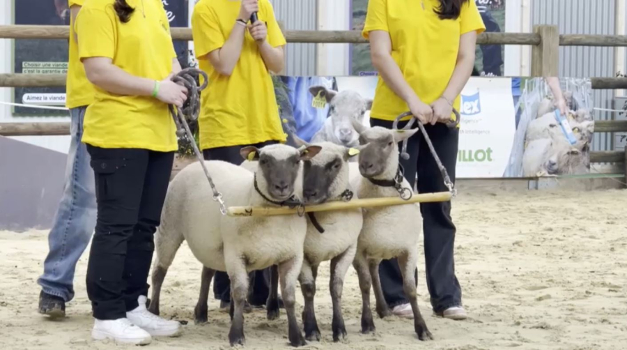 Францияда халықаралық ауыл шаруашылығы көрмесі өтіп жатыр