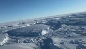 Арктические льды стали вдвое тоньше