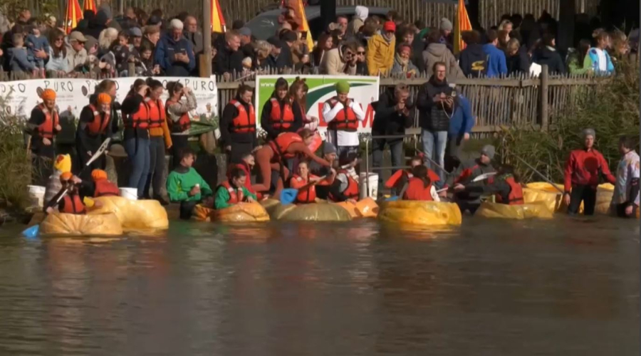 Бельгияда асқабақтар жүзуден жарысты