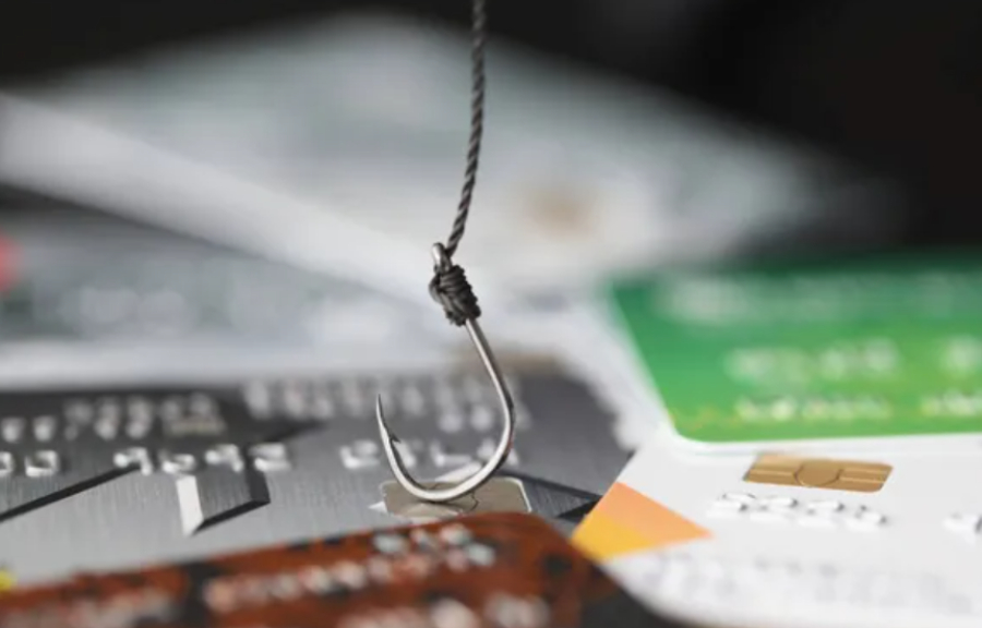 Более 6 тысяч казахстанцев обманули телефонные мошенники с начала года