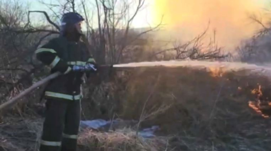 Систему раннего выявления пожаров установят в девяти лесхозах ВКО