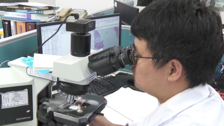 Қытайда қатерлі ісікті анықтайтын ЖИ іске қосылды