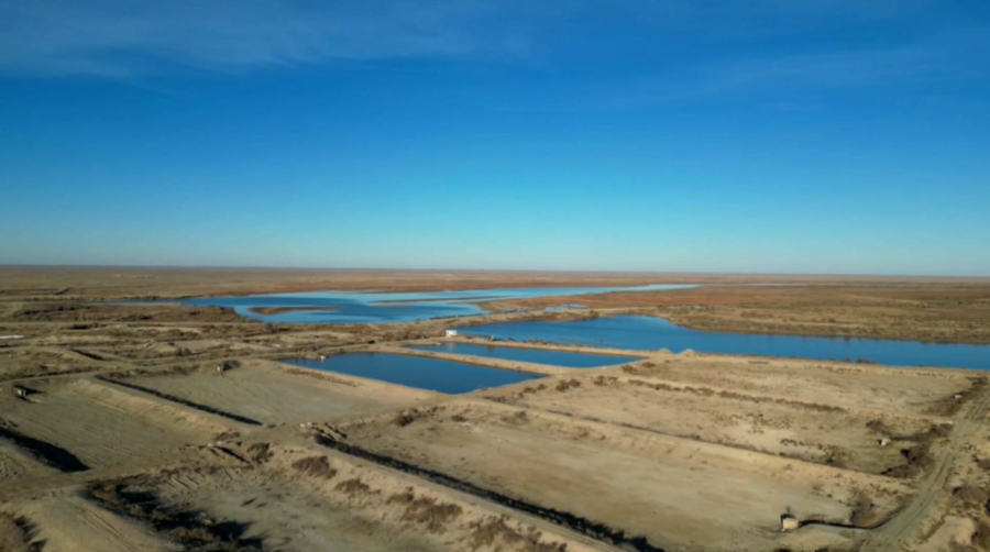 Рыбопитомник восстановил работу в Кызылординской области