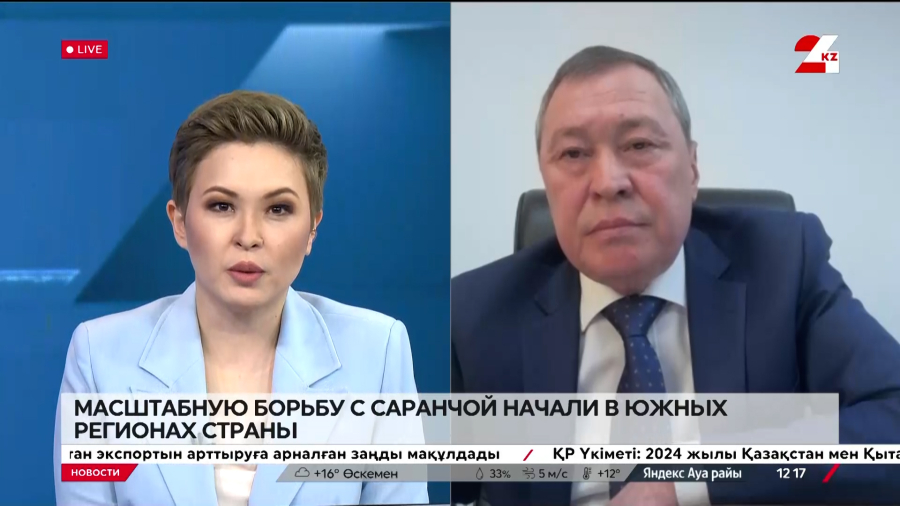 Масштабную борьбу с саранчой начали в южных регионах страны. Сакен Каныбеков