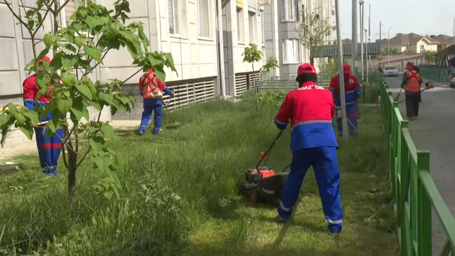 Шымкентте үш тонна қоқыс шығарылды