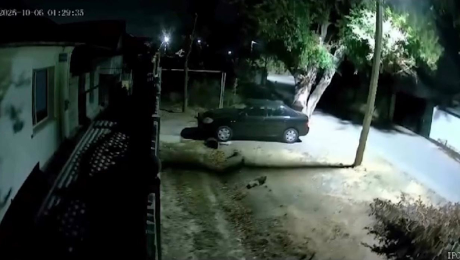 Қазақстанның оңтүстігінде жер сілкінді