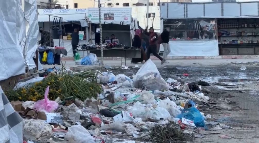 Газа секторында кеміргіш қаптады