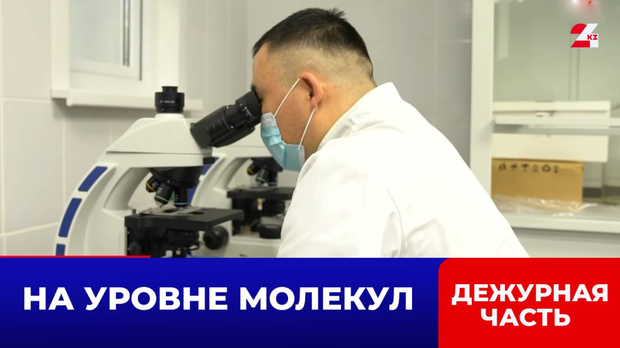 Личность пропавшего жителя Семея установили по костным останкам