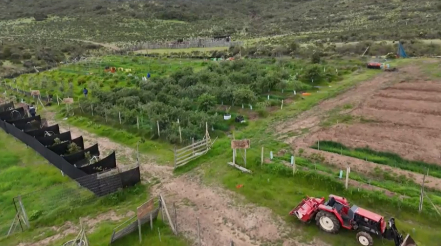 Инновации в мире сельского хозяйства