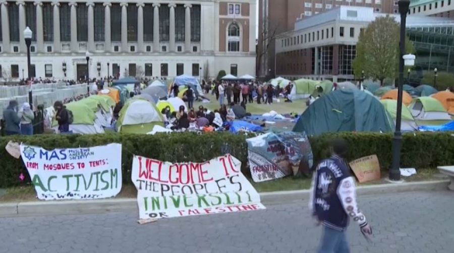 Более 6 тысяч студенческих виз аннулировали в США