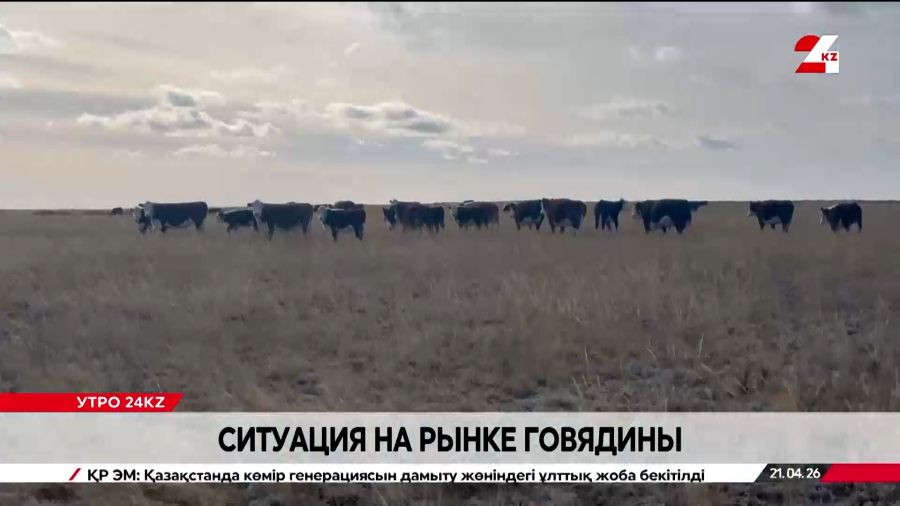 Ситуация на рынке говядины: фермеры покидают рынок