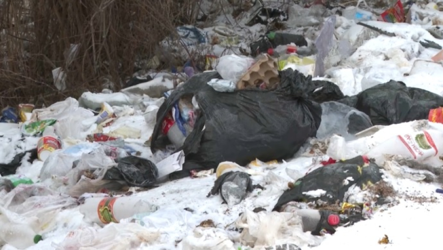 Свалки разрастаются близ дачных массивов Талдыкоргана