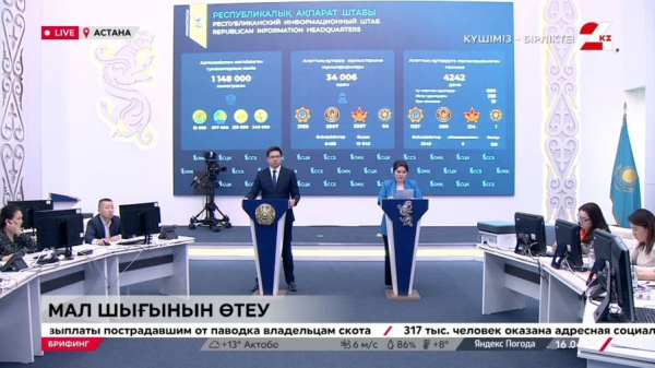 Мал шығынын өтеу. Брифинг