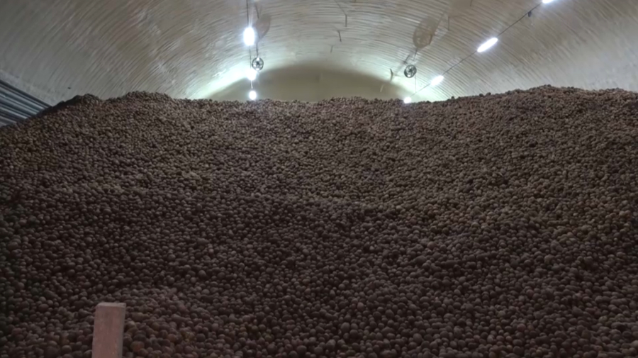 Мощности для хранения овощей увеличивают в ЗКО