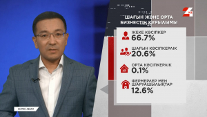 Кәсіпкерлерге мемлекет қандай қолдау көрсетеді?