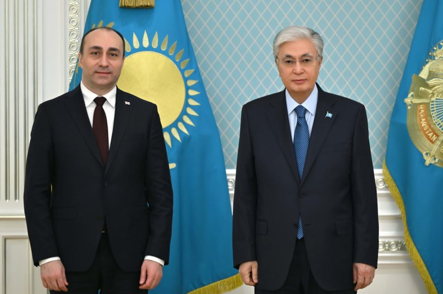 Глава государства принял министра внутренних дел Грузии Гелу Геладзе