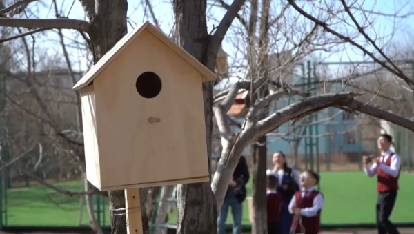 Ақтөбелік оқушылар «Таза Қазақстан» аясында құстарға ұя жасады