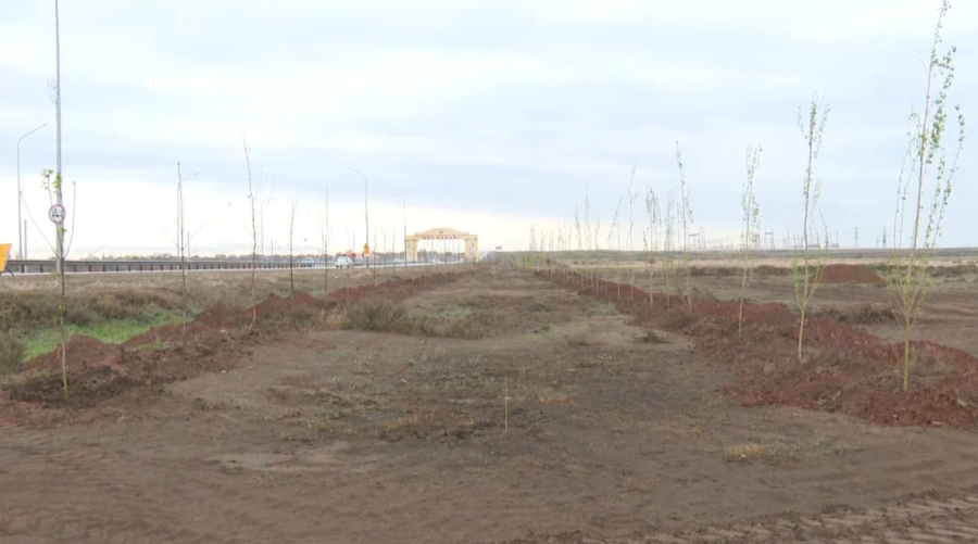 Ұлытау облысында «Жасыл дәліз» жобасы басталды